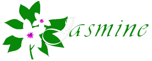 Jasmine Suites 'By Checkin'