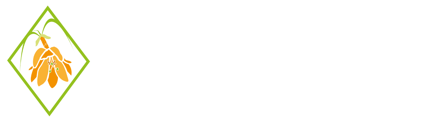 Casa Passiflora Hotel Boutique by HMC