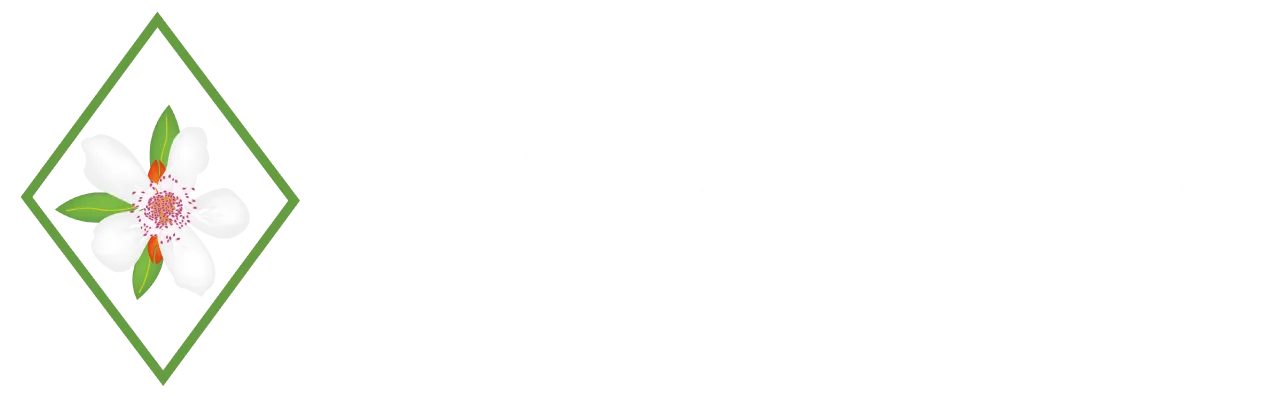 Casa Bixa Hotel Boutique by HMC - Mayores de 12 años
