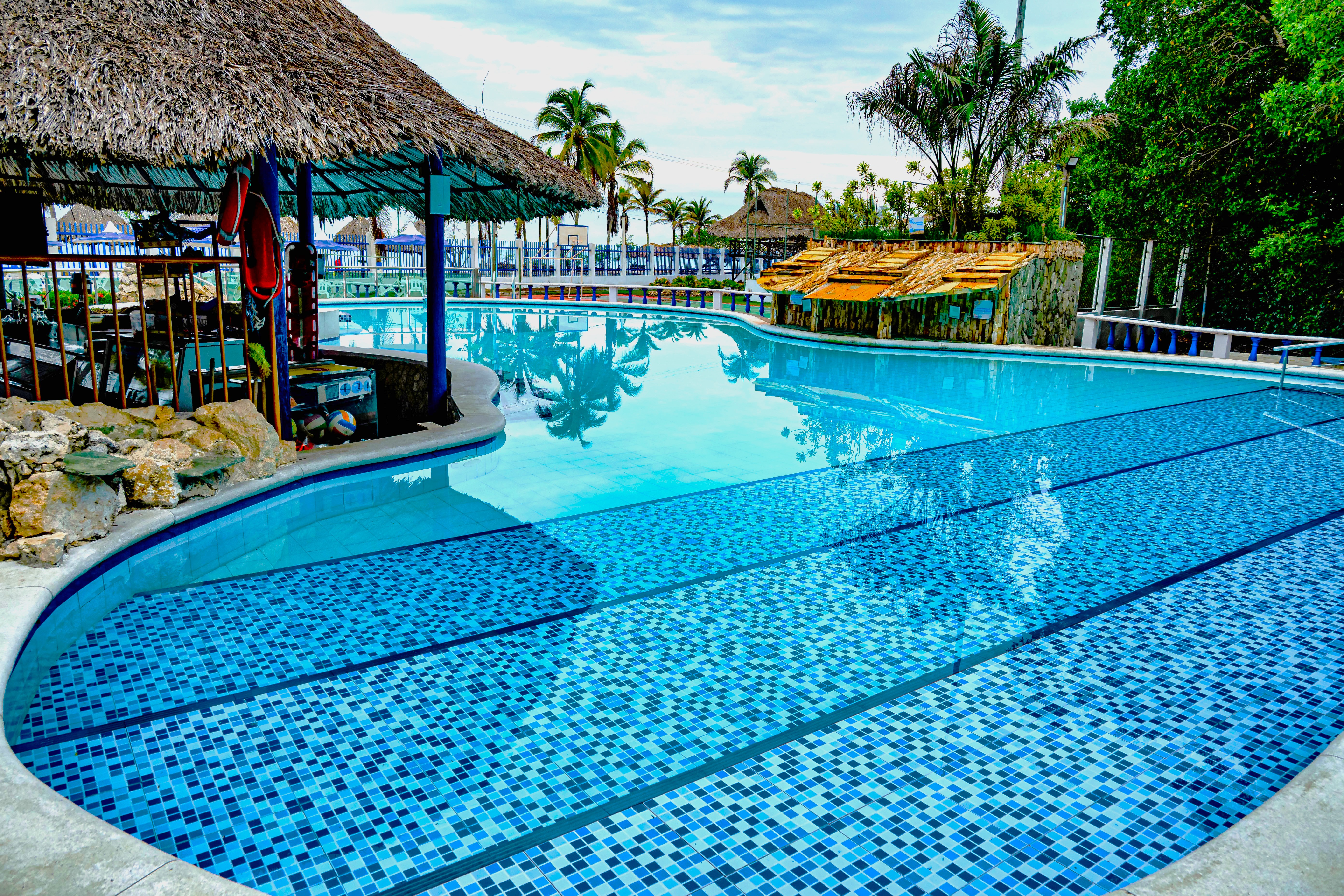 Manglar de las Garzas