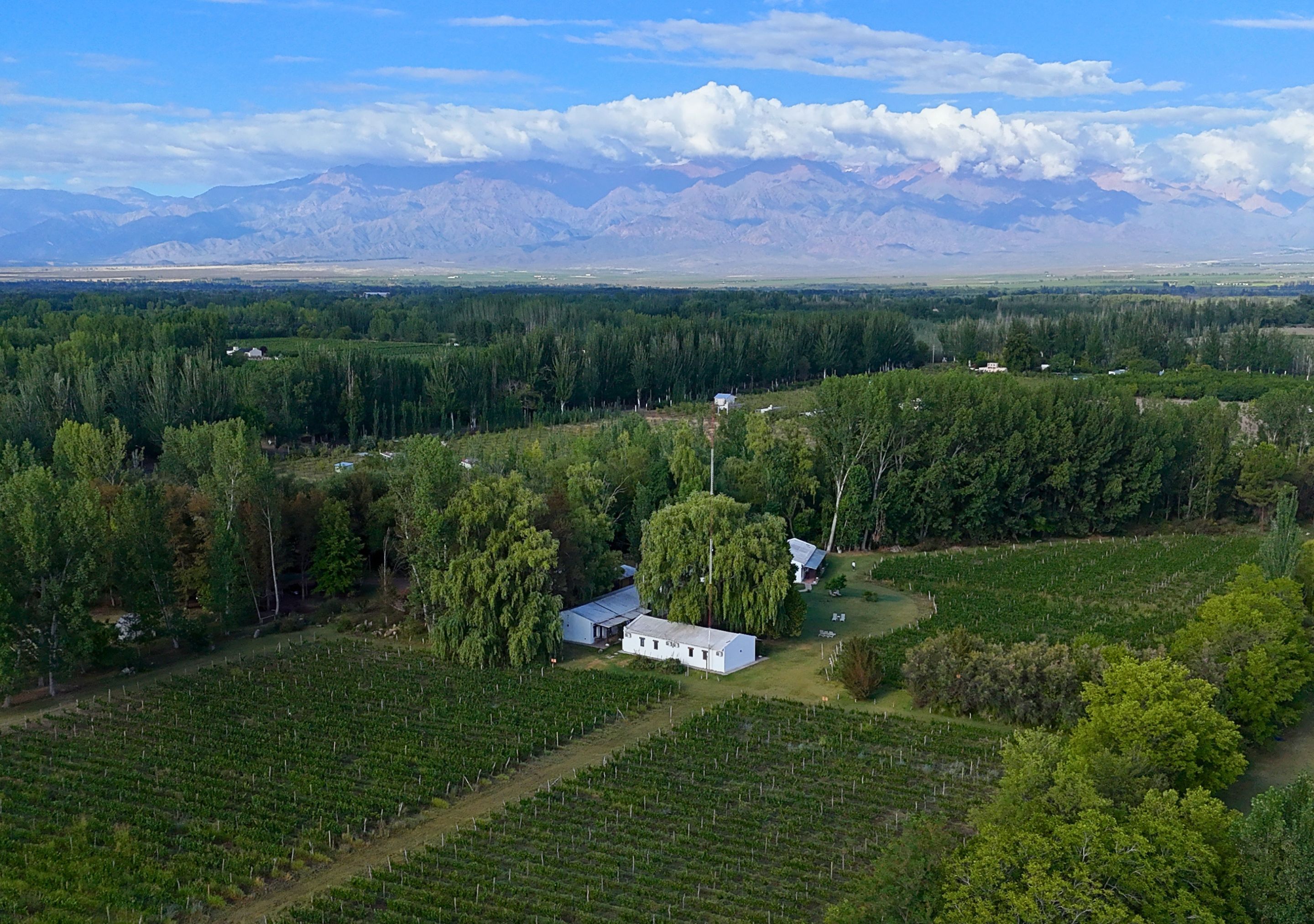 Postales Finca & Bodega by DOT Boutique — foto 2