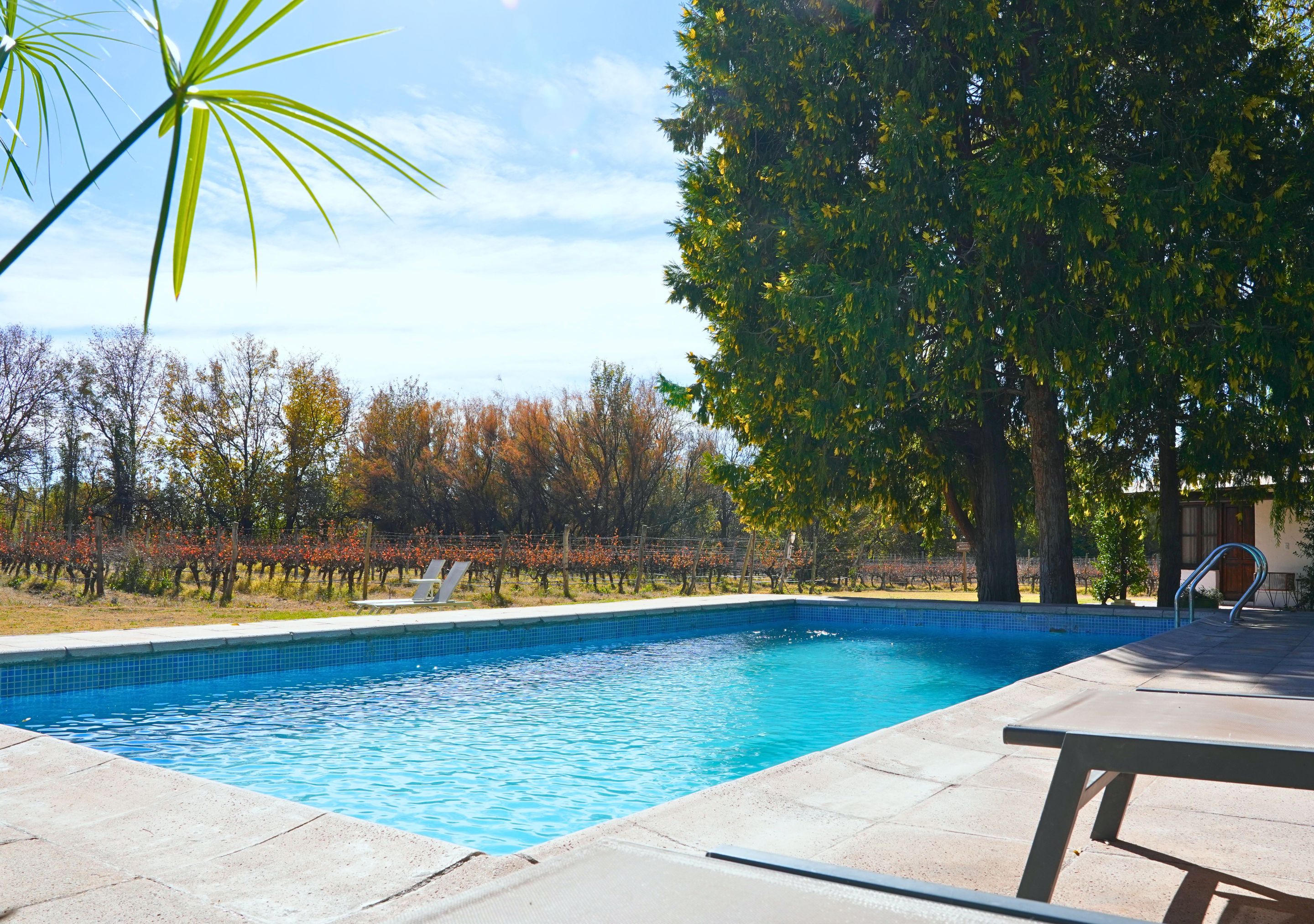 Postales Finca & Bodega by DOT Boutique — foto 6