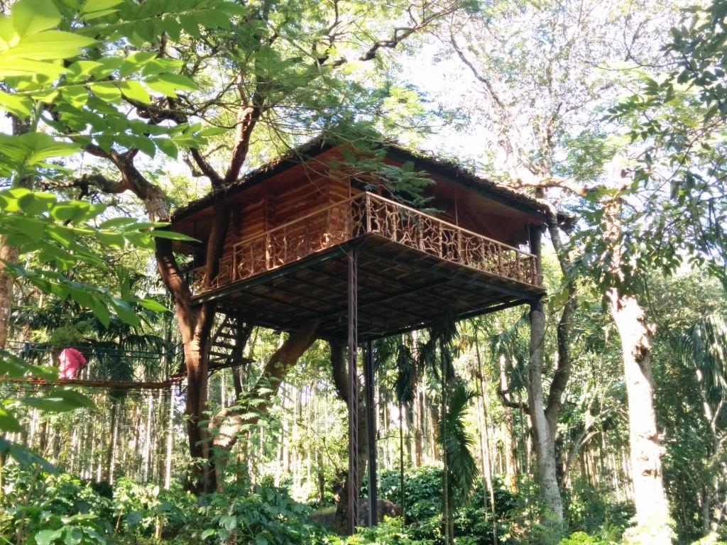Tranquil Resort - BluSalzz Collection, Wayanad - Kerala