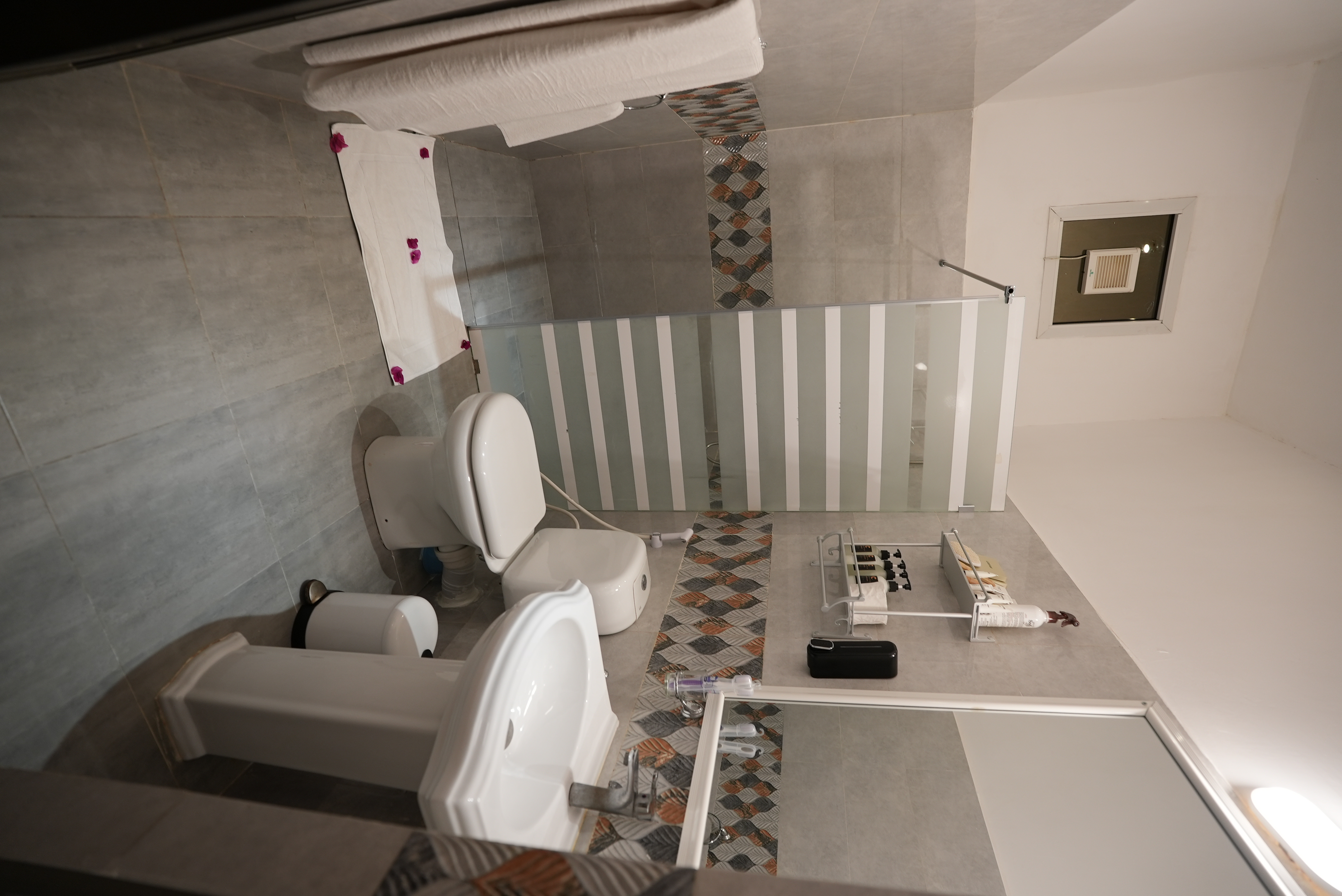 Standard Twin Room - 1