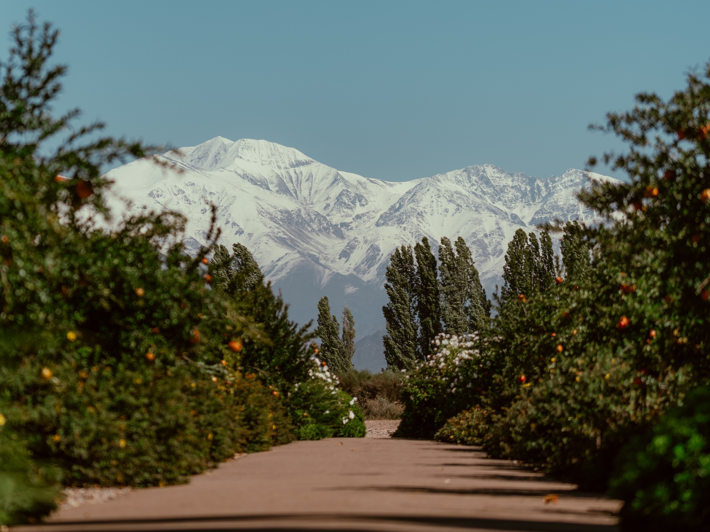Awasi Mendoza — foto 5