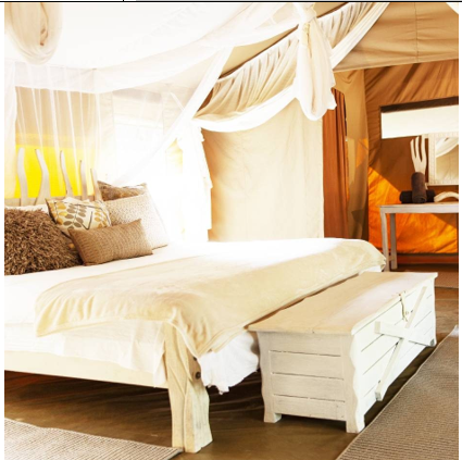 Luxury Suite - 1