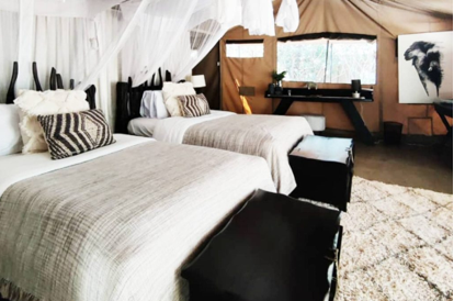 Family Suite - 1