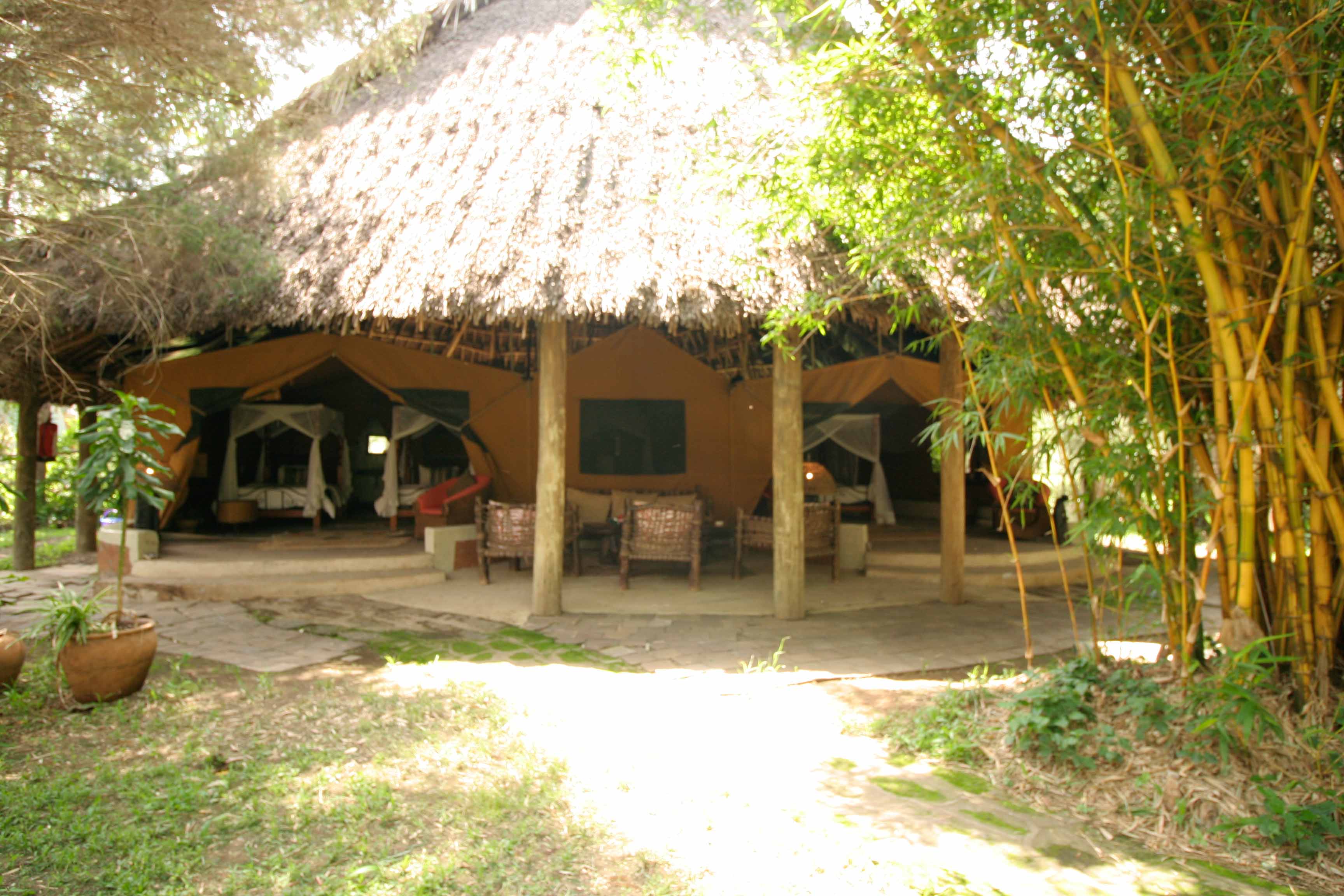 Egret Savanna Camp gallery