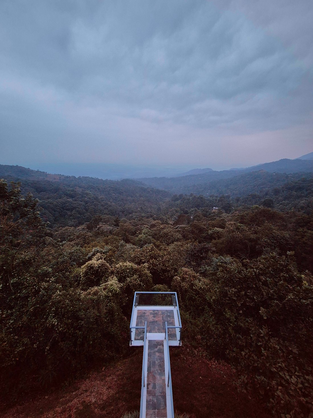 Wild Planet Bana Heights, Wayanad