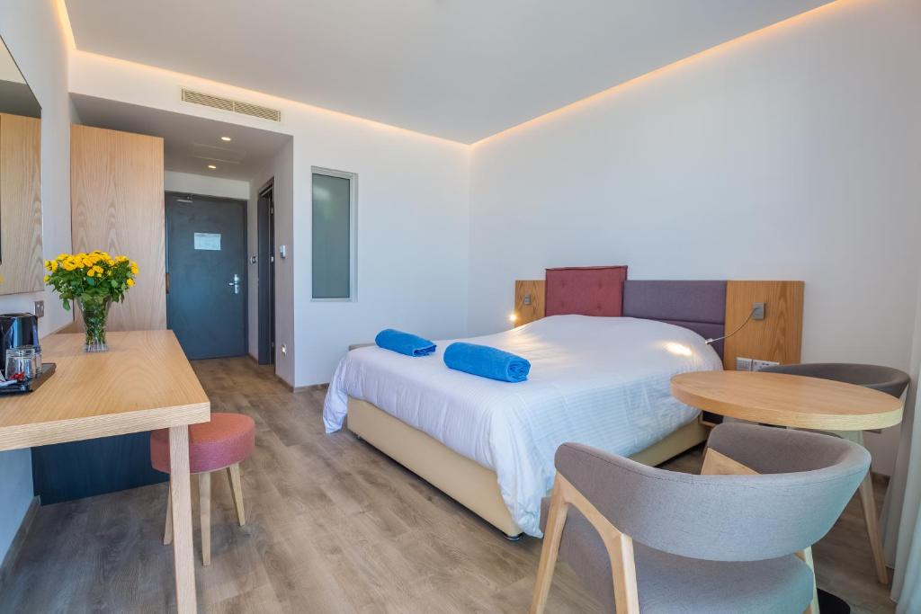 Standard Mountain View Room
