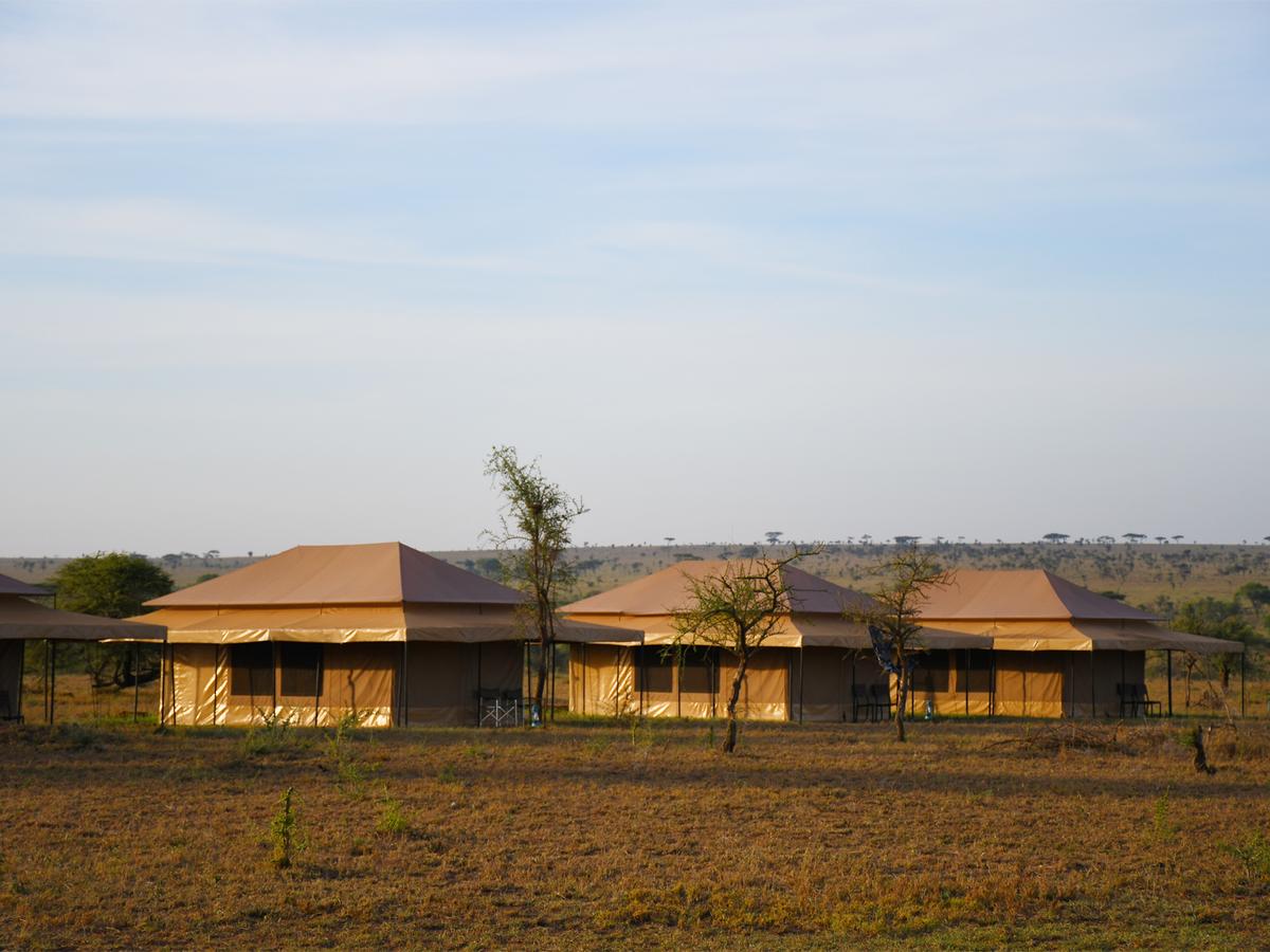 Serengeti Wild Camp