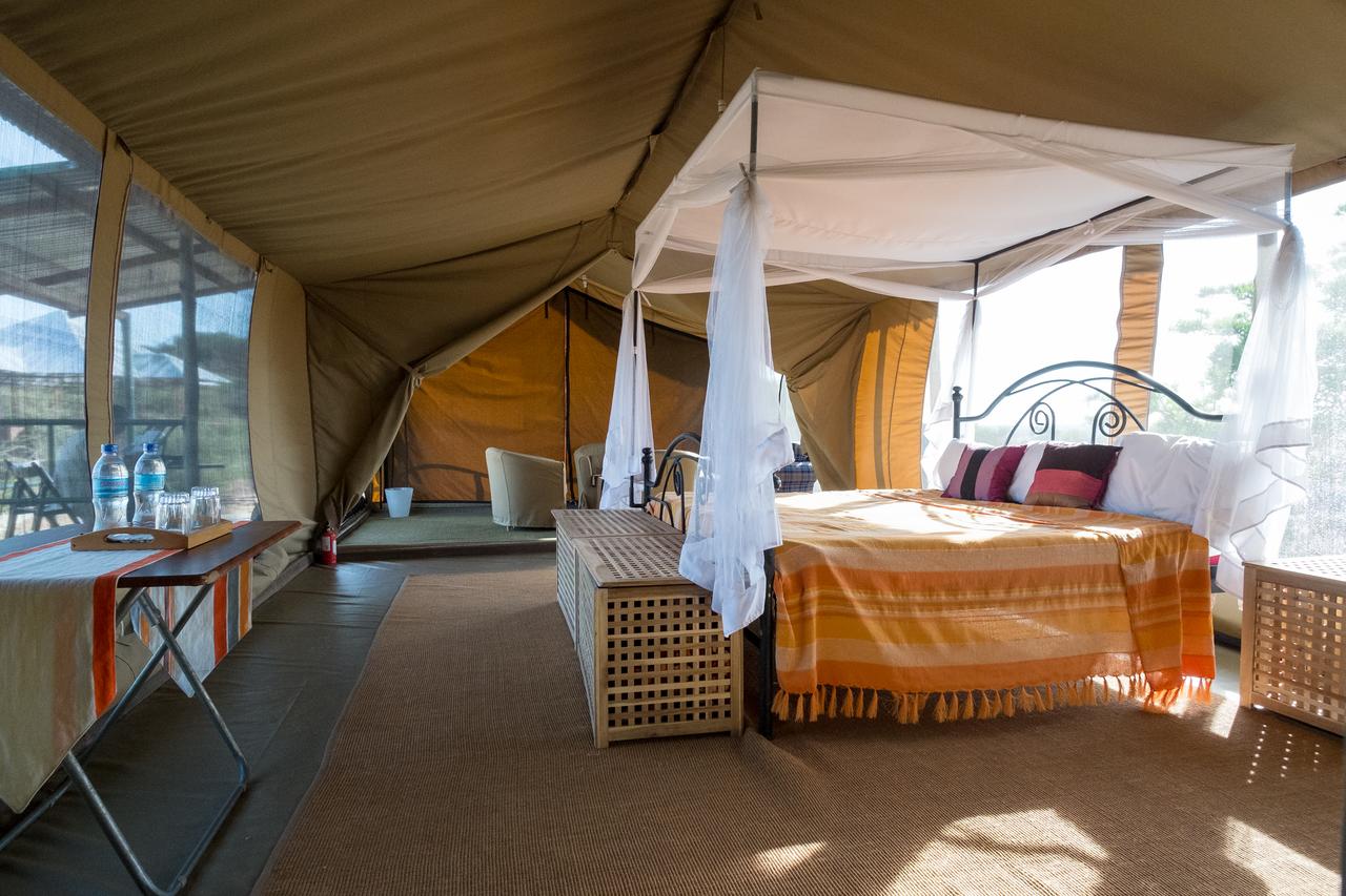 Serengeti Wildebeest Camp