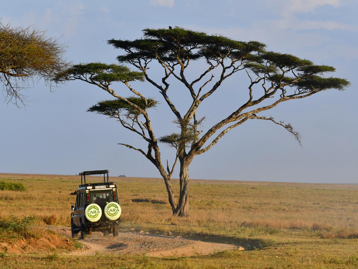 Serengeti Wildebeest Camp