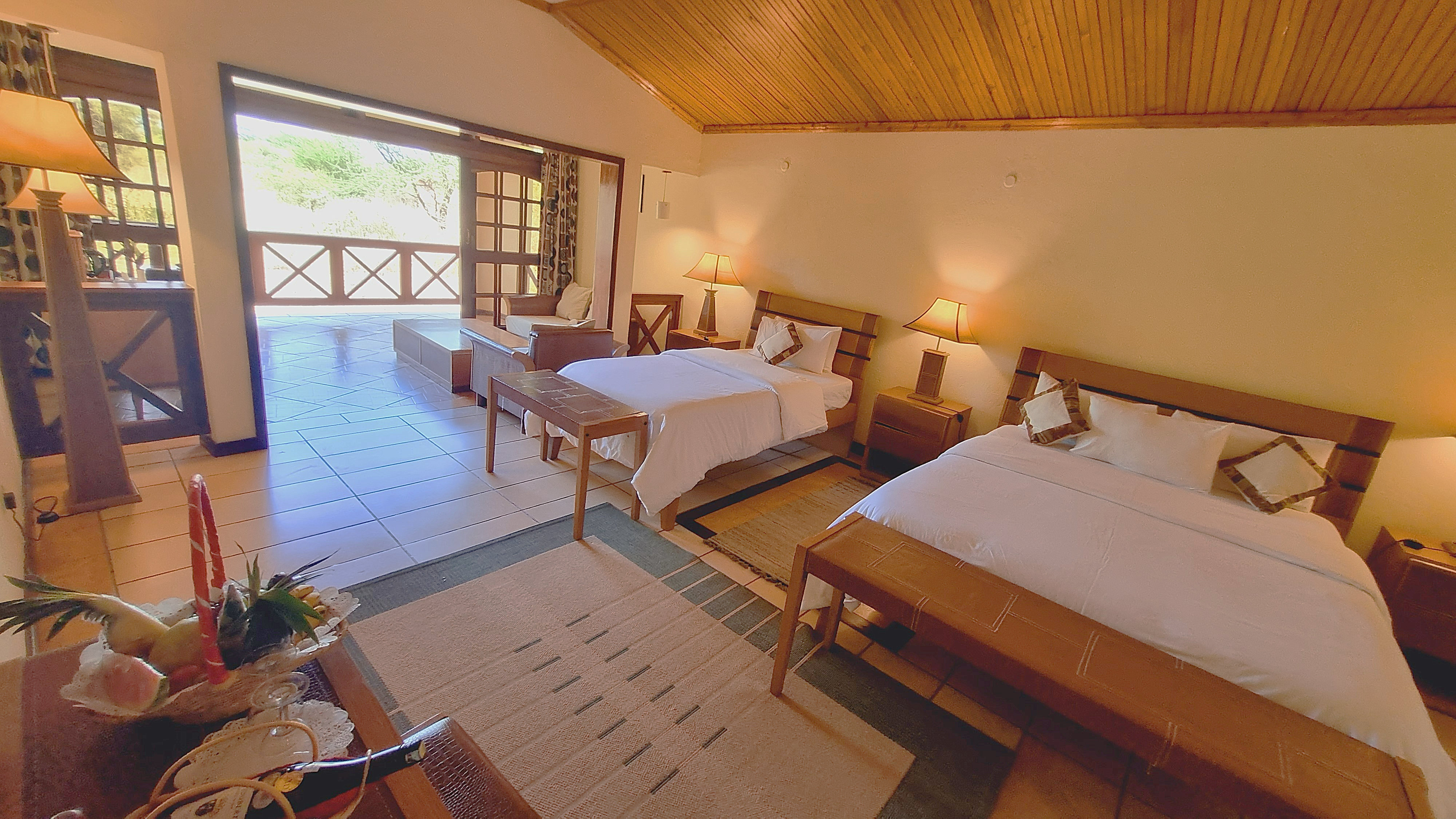 Standard Room Kilimanjaro View - 1
