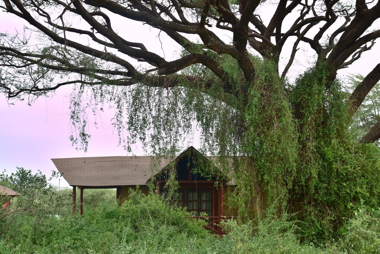 Kilima Safari Camp gallery