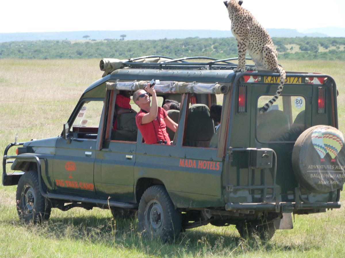 Fig Tree Camp - Maasai Mara