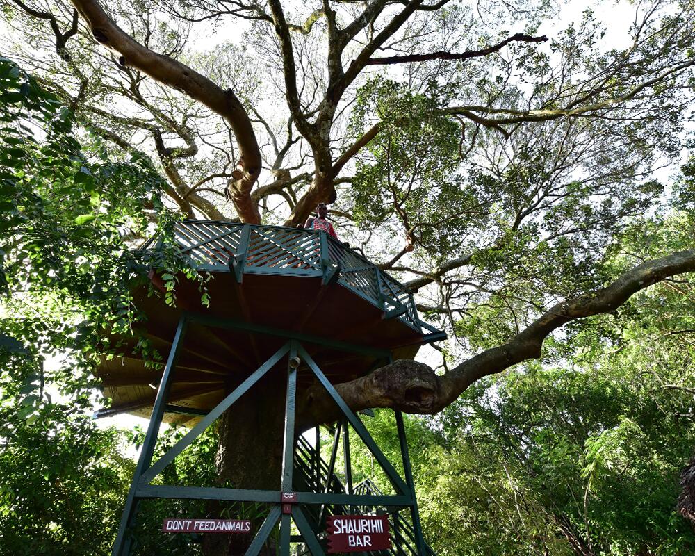 Fig Tree Camp - Maasai Mara