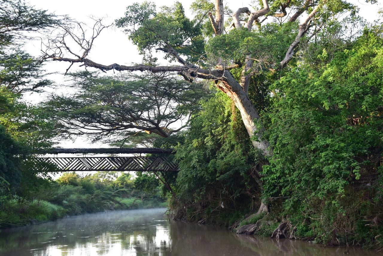 Fig Tree Camp - Maasai Mara