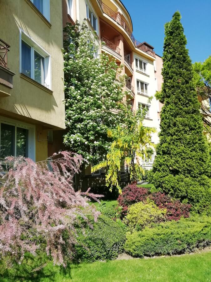 Aparthouse Borovo