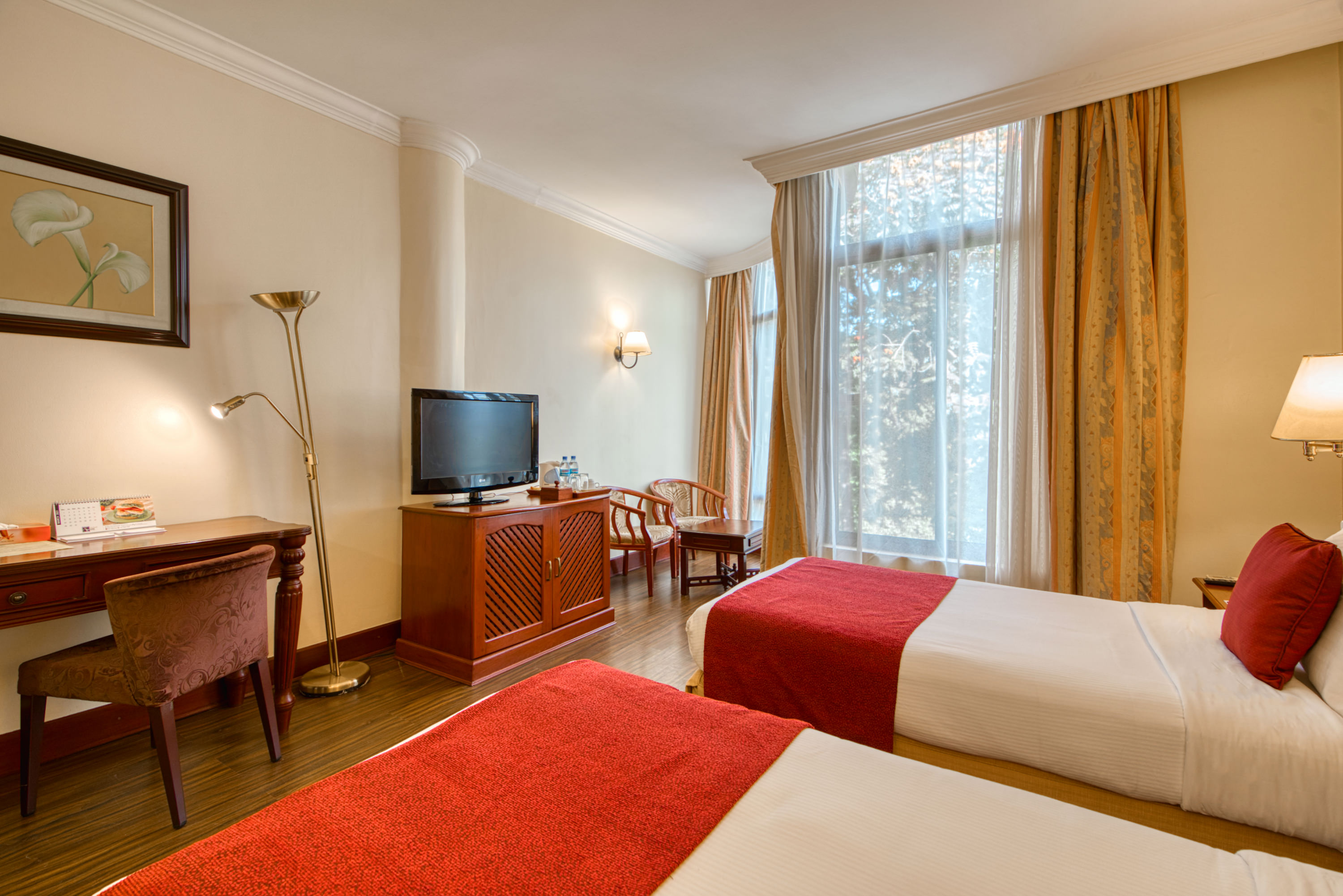Executive Twin Room - 1