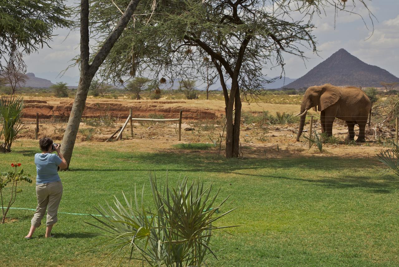 Ashnil Samburu Camp gallery