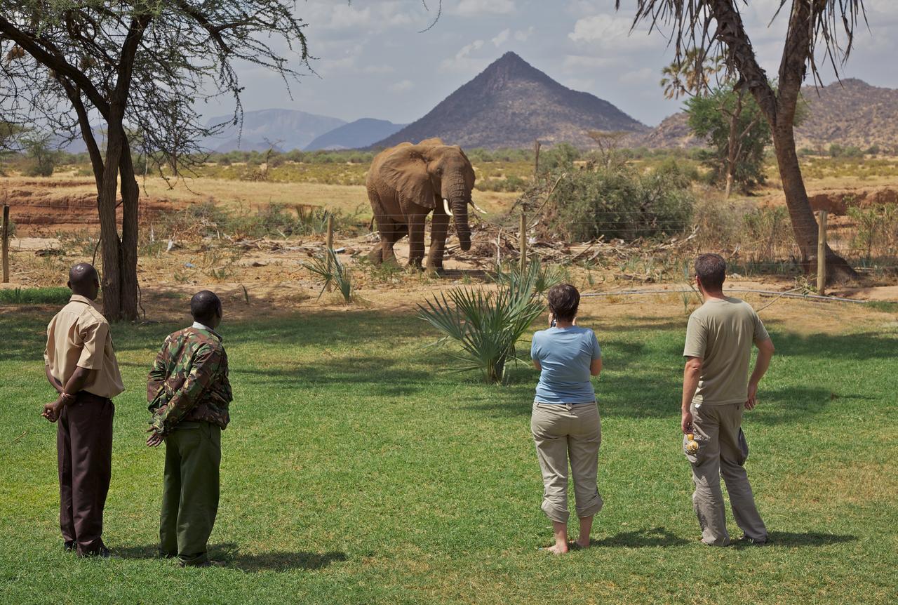 Ashnil Samburu Camp gallery