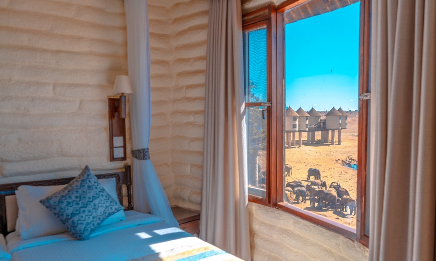 Waterhole View Lodge Room