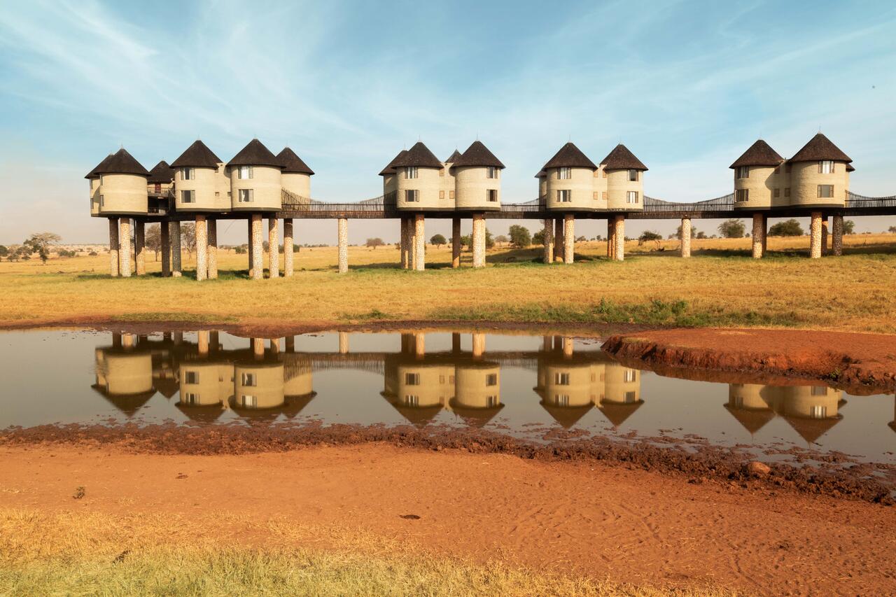 Salt Lick Safari Lodge gallery