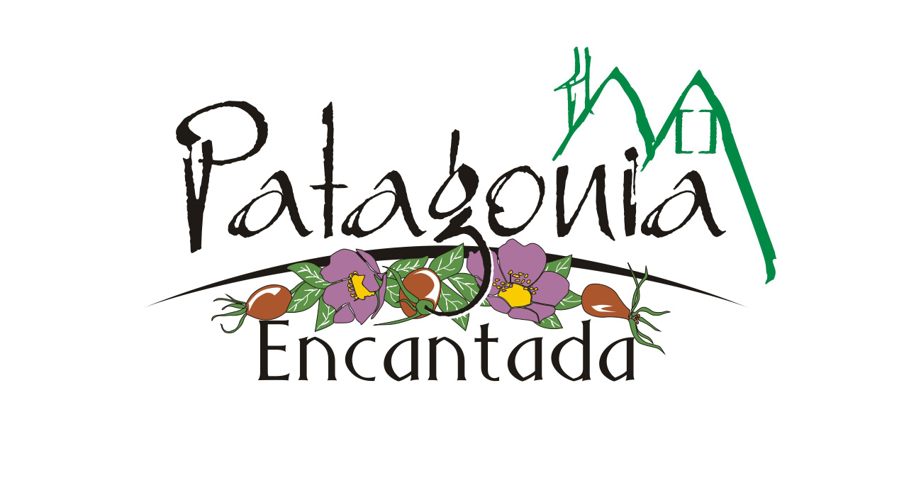 Patagonia Encantada by DECK