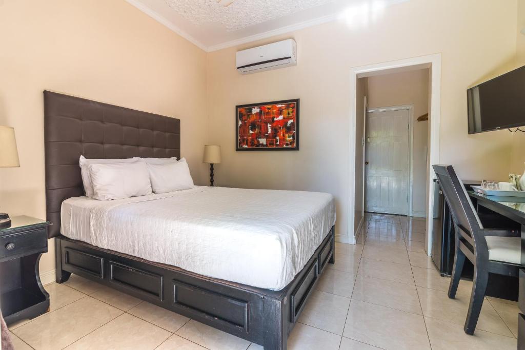 Standard  Room with One Queen Bed