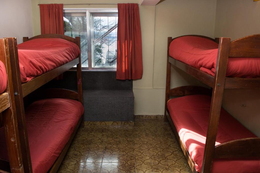 Bed in 6-Bed Mixed Dormitory Room