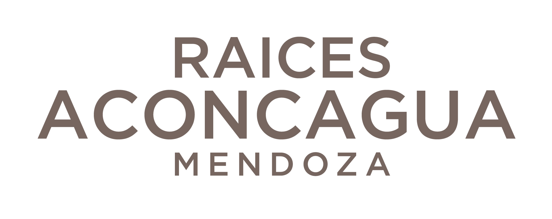 Hotel Raices Aconcagua — foto 1
