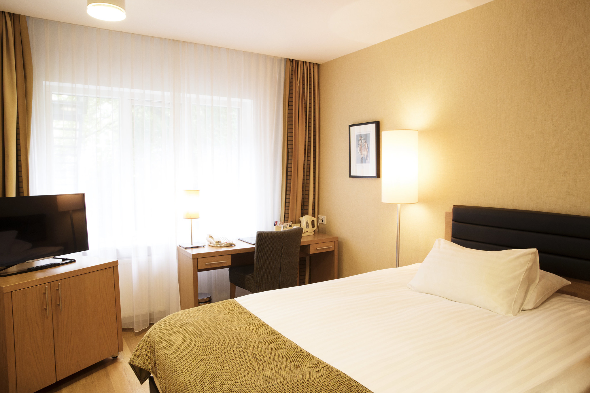 Double - Twin Room