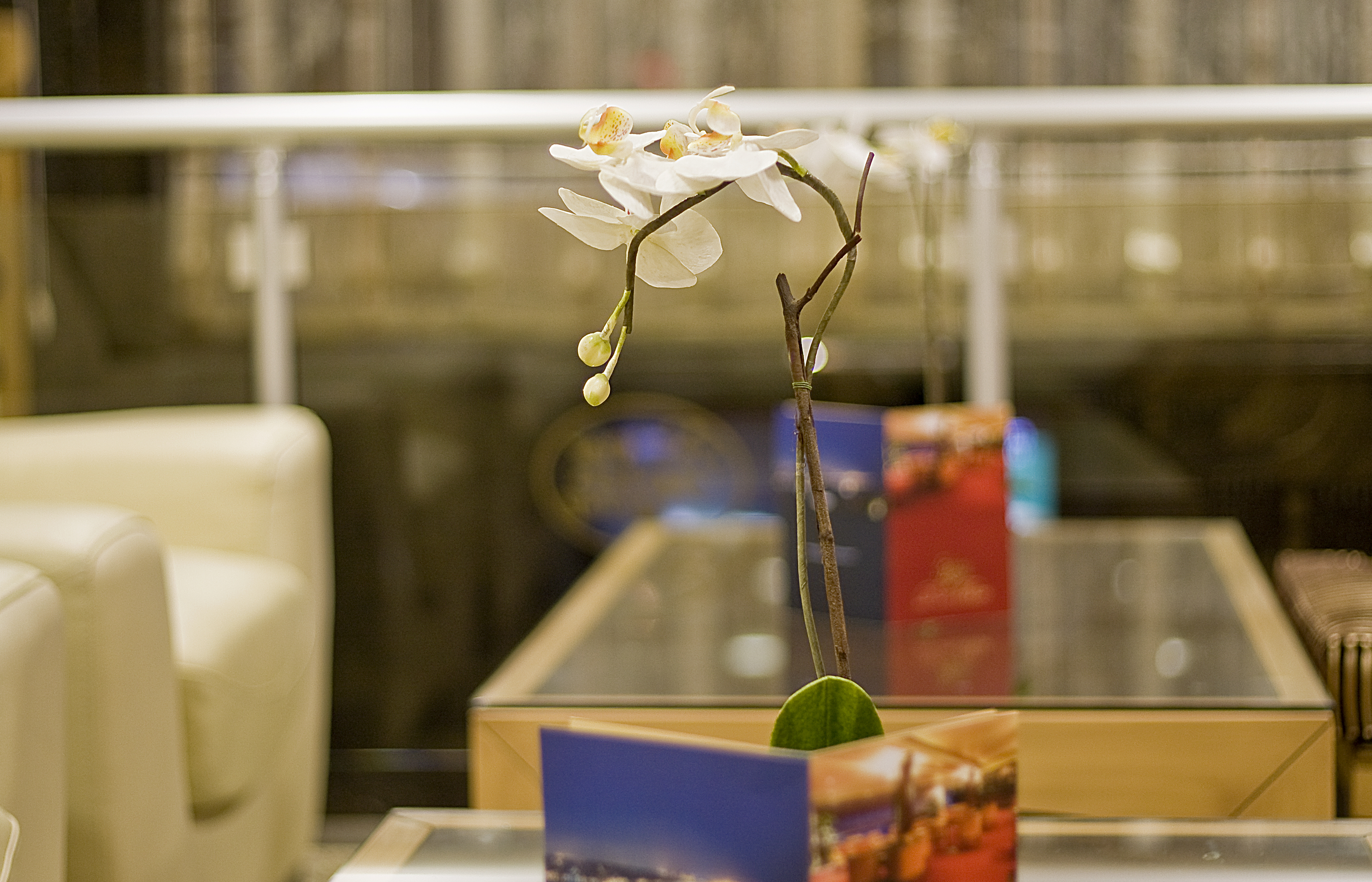Star Hotel Taksim