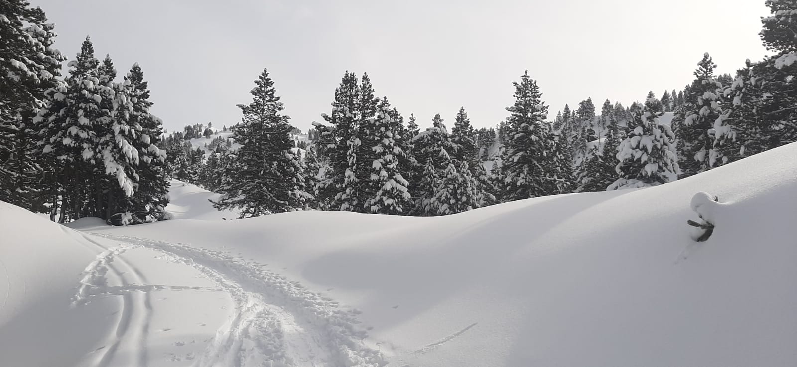 Hotel SNO Vall De Boi