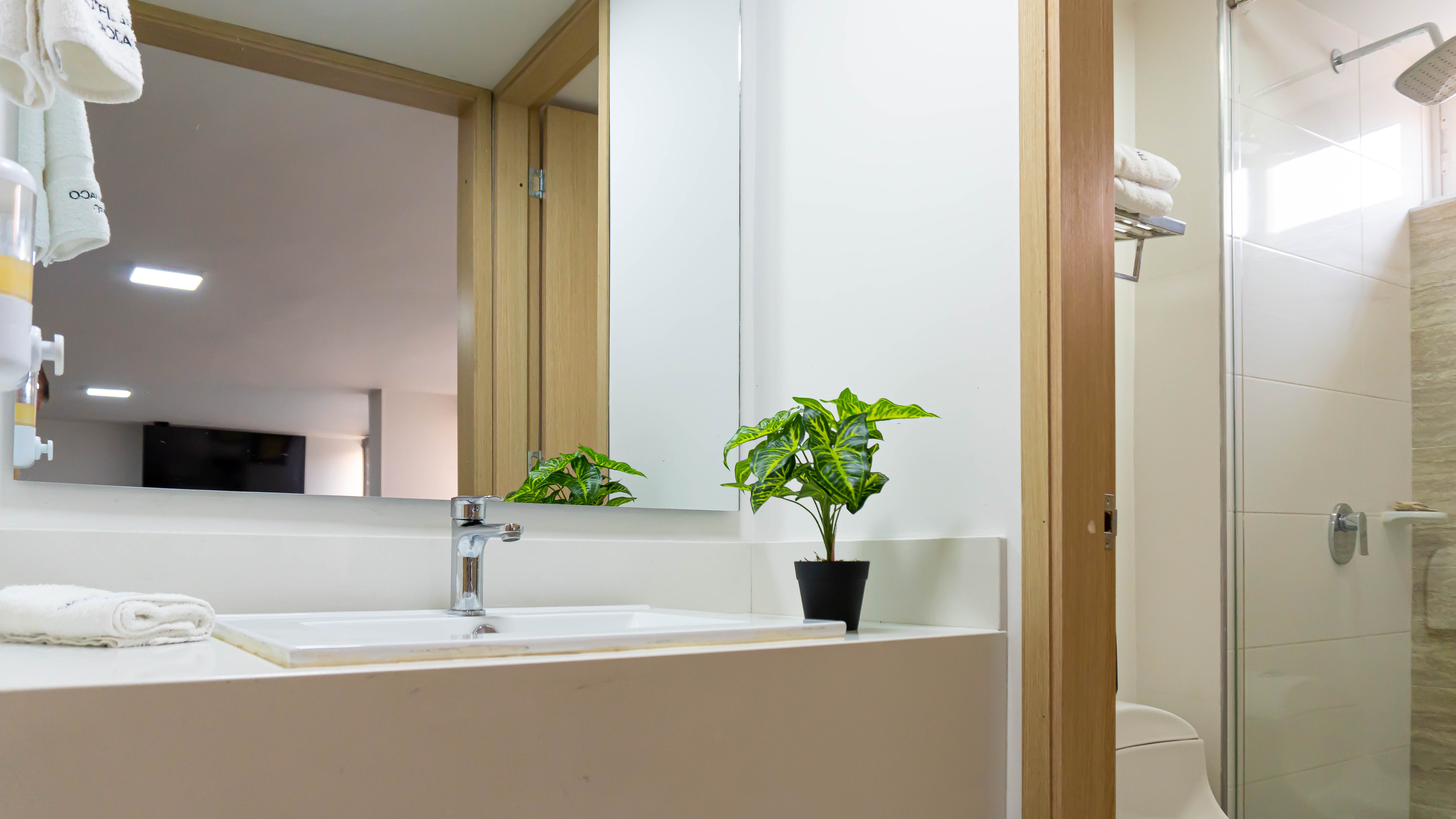 DISABLED- DELUXE FAMILIAR 