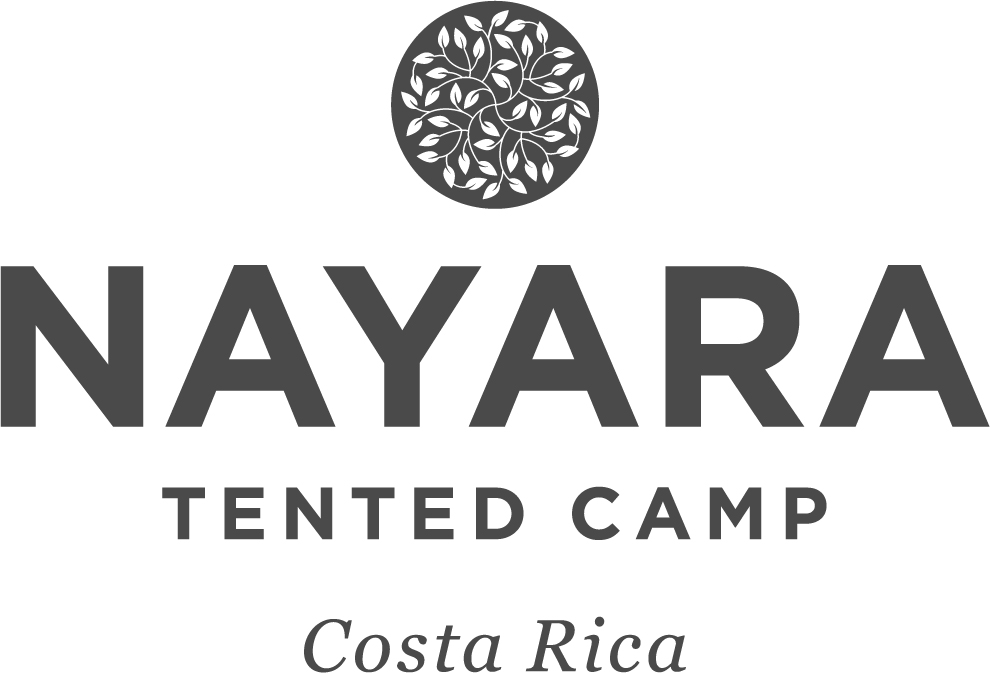 Nayara Tented Camp