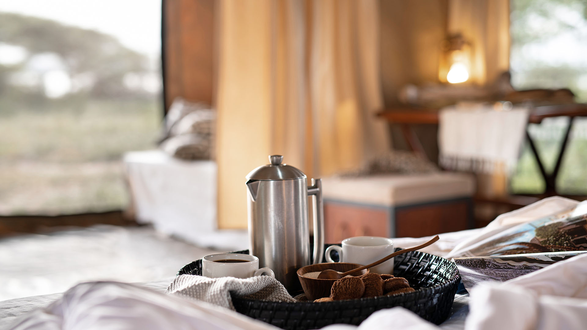 Serengeti Sojourn