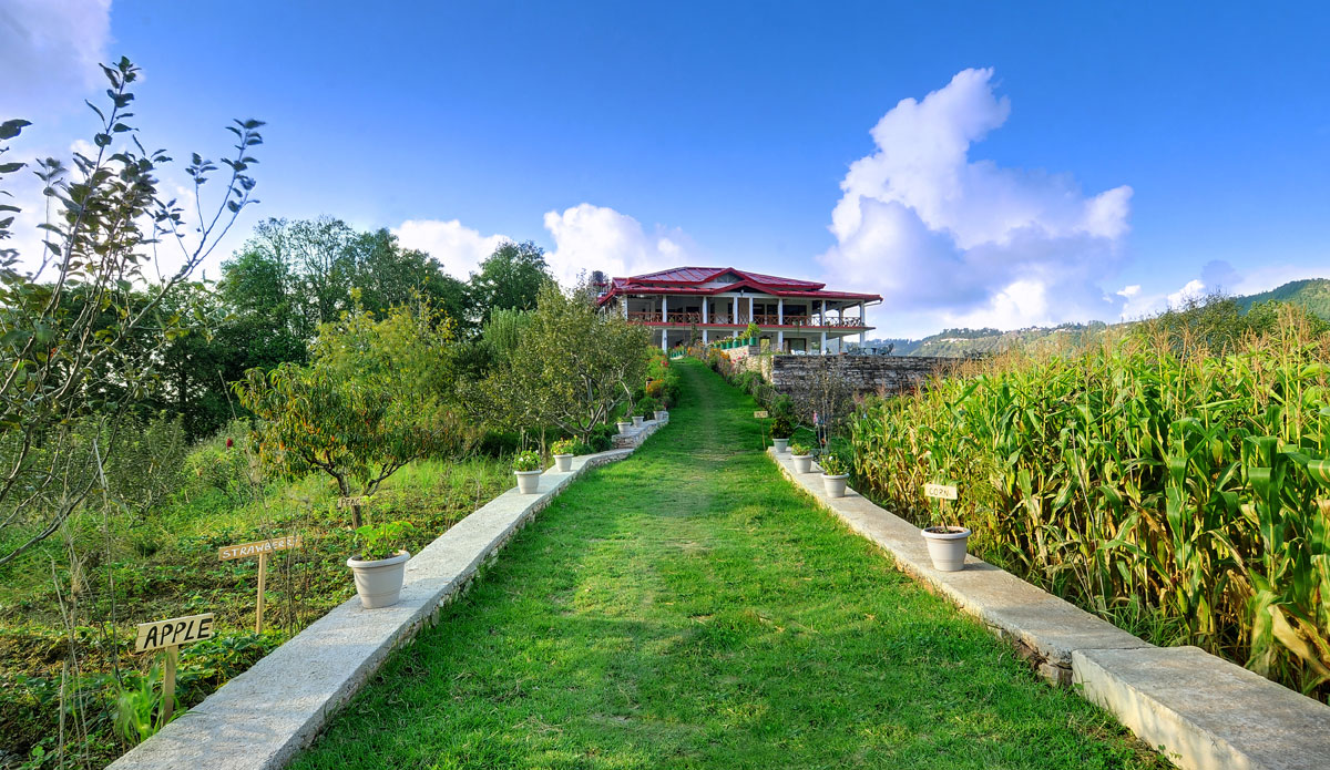 Dyo - The Organic Village Resort, Nainital 4