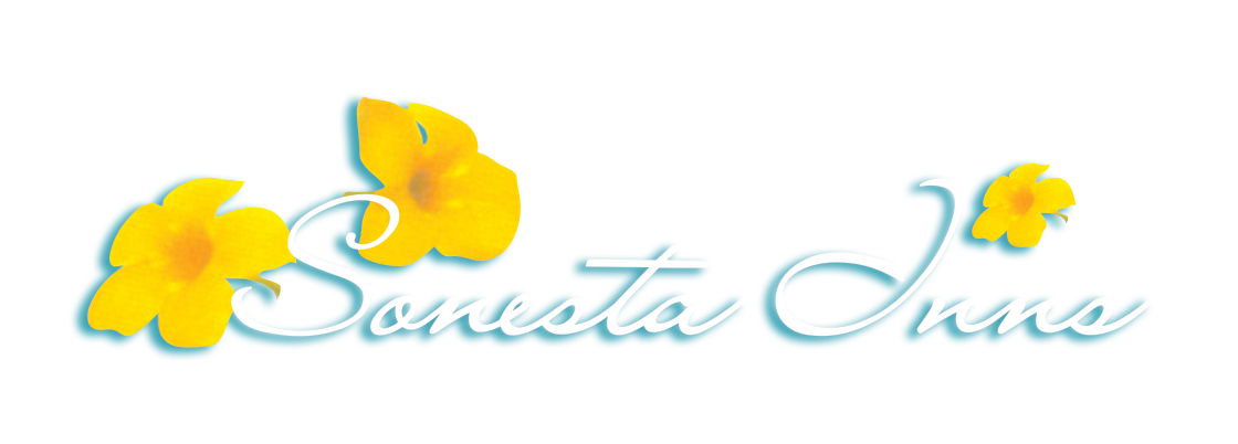 Sonesta Inns