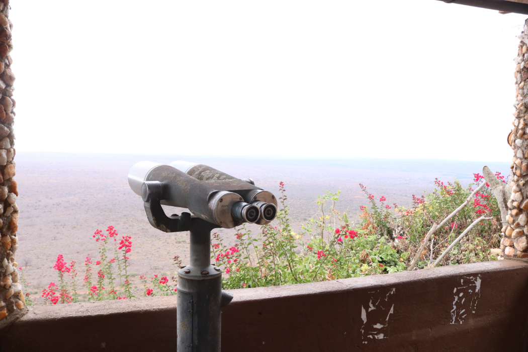 Ngulia Safari Lodge
