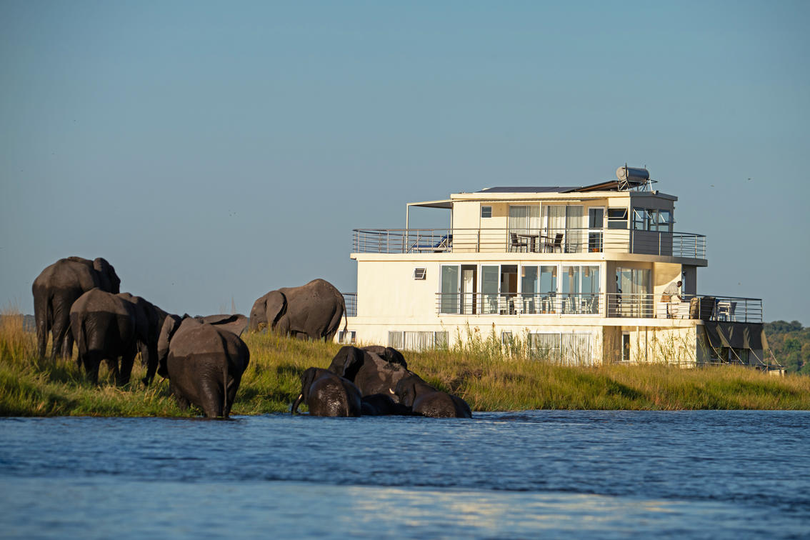 Chobe Princesses