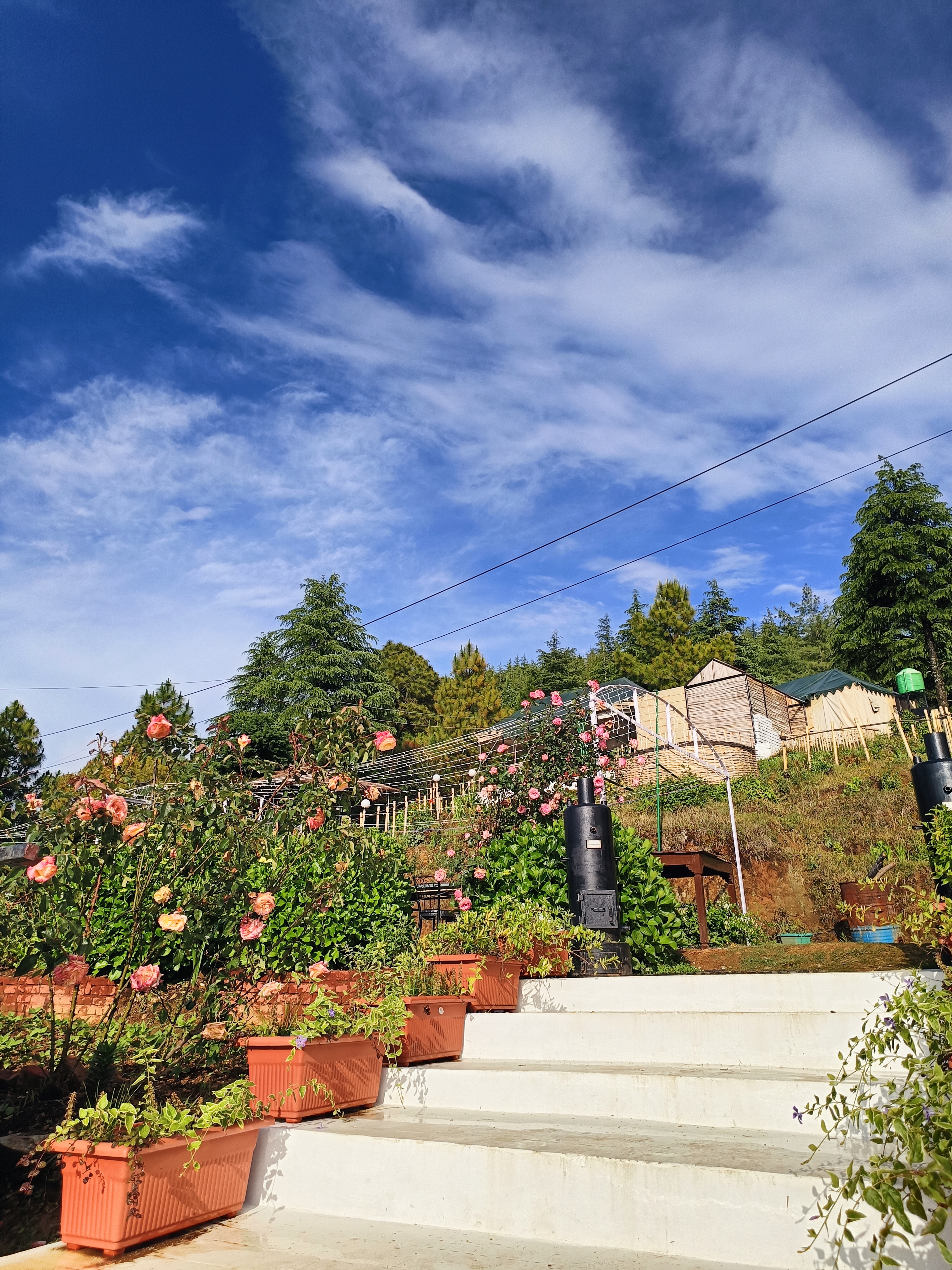 Darbar - A Heritage Farmstay, Chamba 4
