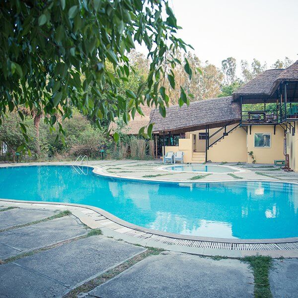 Jim's Jungle Retreat - Corbett