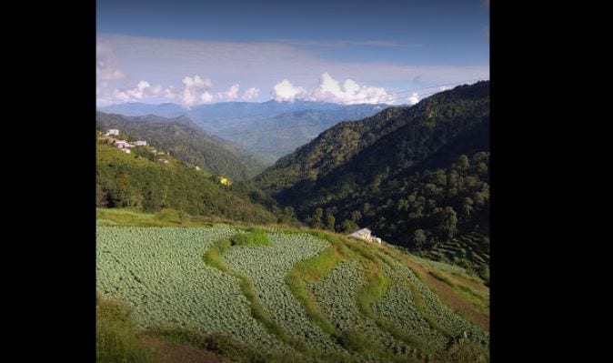 Hotel heavenly heights, Dhanaulti 5
