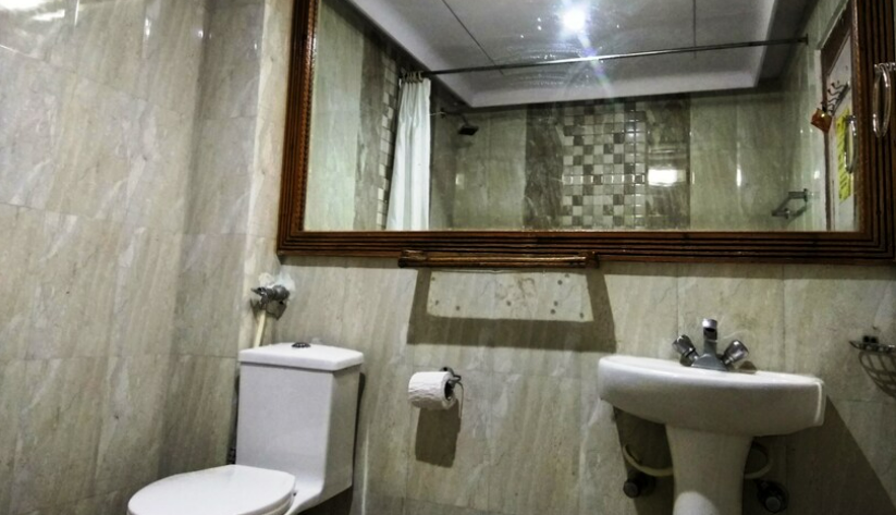 Parwati Inn Ranikhet, Ranikhet 3