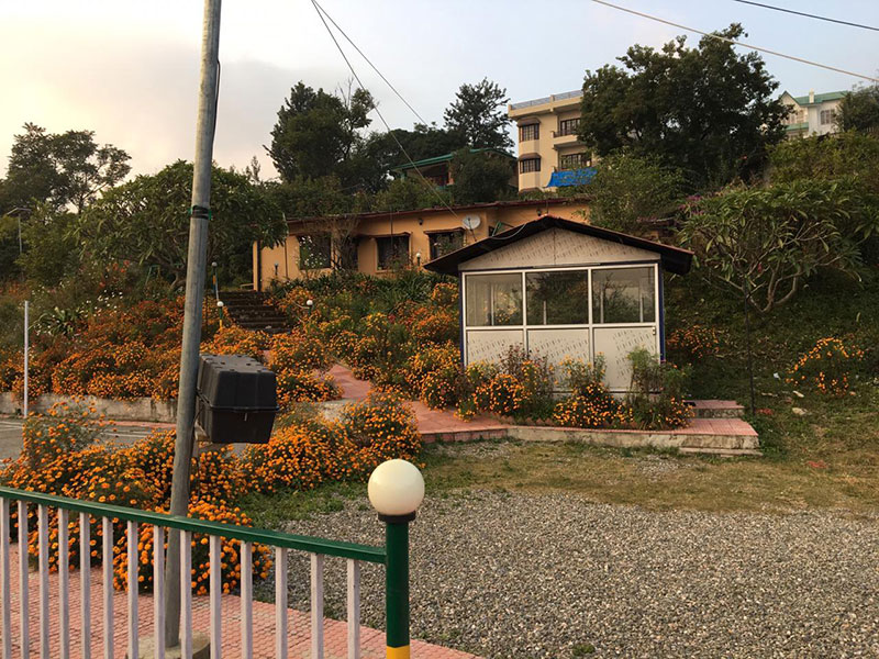 Blue Moon by Excellent Hospitality, Bhimtal 5