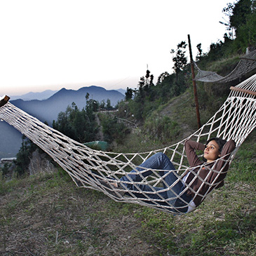 Whispering Pines Himalayan Retreat, Dhanaulti 3