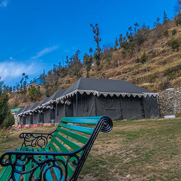 Whispering Pines Himalayan Retreat, Dhanaulti 5