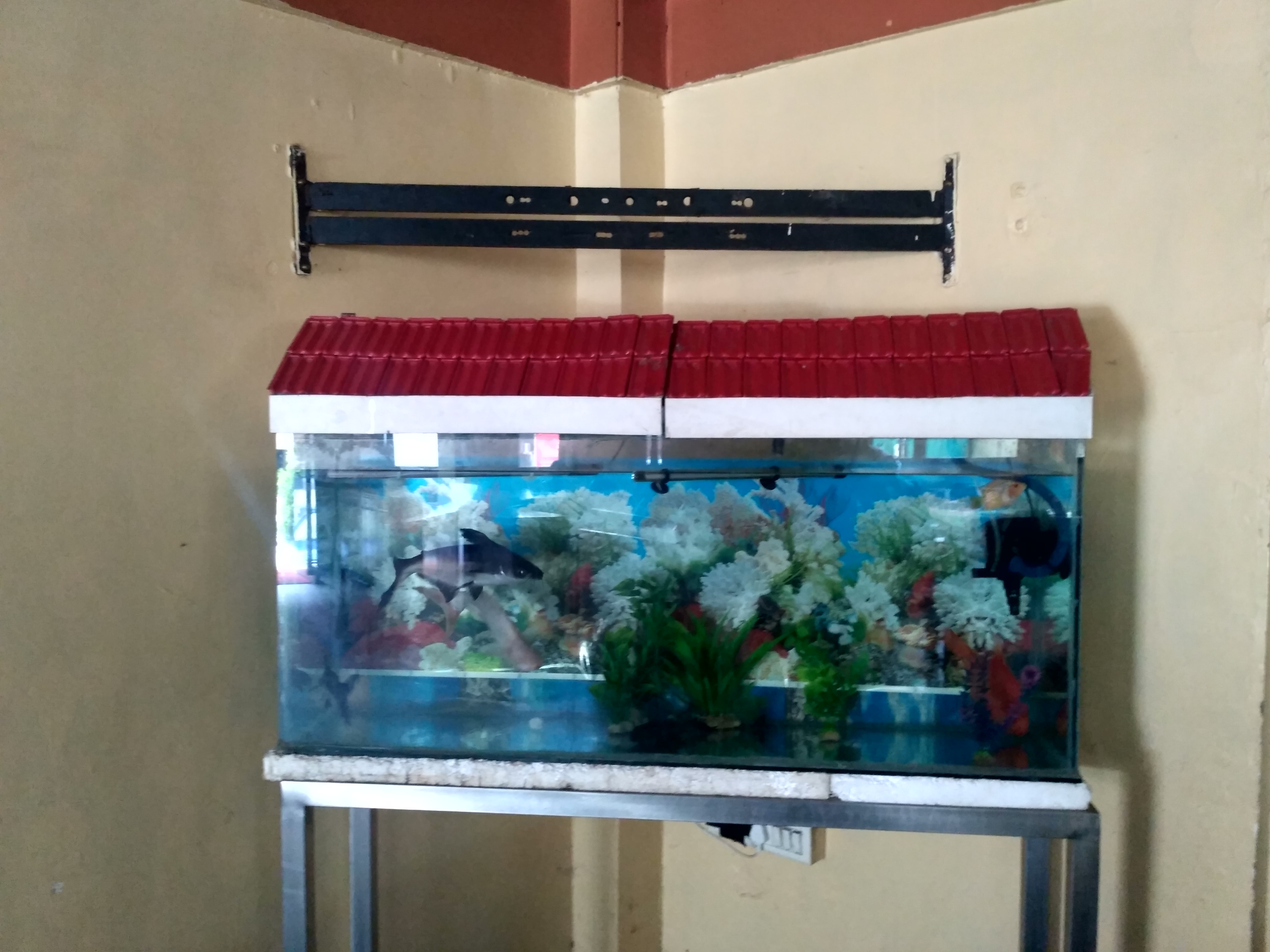 HOTEL HONEY LODGING, Pune 5